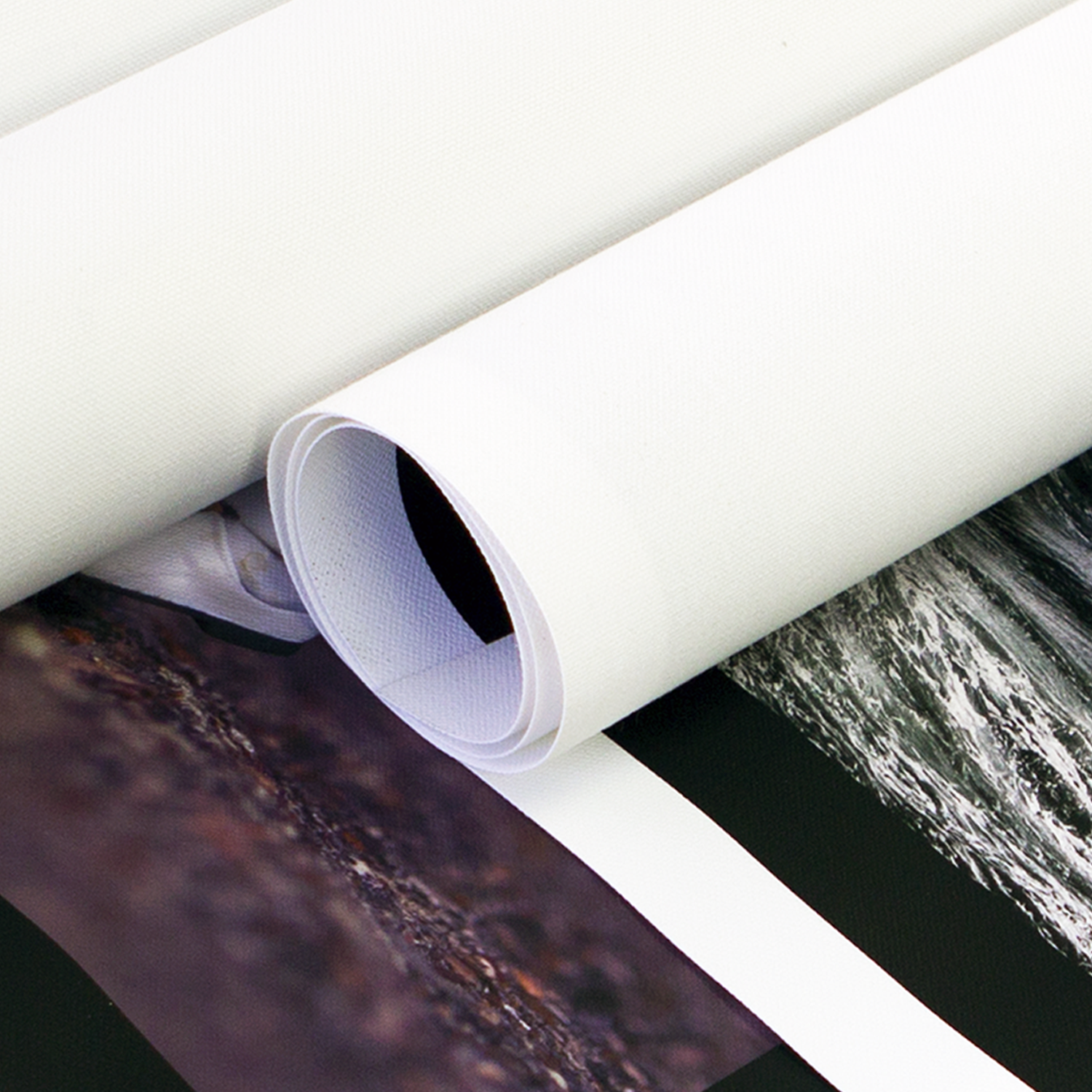  Rolled Canvas Prints